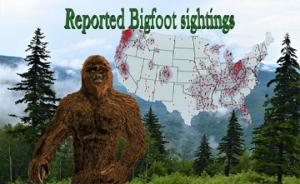 Bigfoot sightings